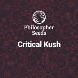 Critical Kush - Philosopher...