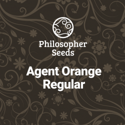 Agent Orange Regular -...