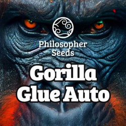 Gorilla Glue Auto -...