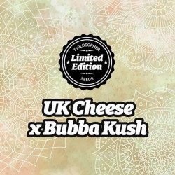 UK Cheese x Bubba Kush -...