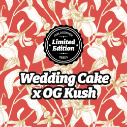 Wedding Cake x Og Kush -...