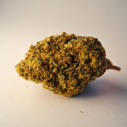 Girl Scout Cookie - FUZ