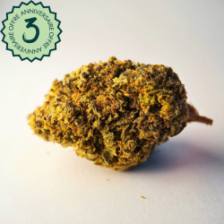 Girl Scout Cookie - FUZ