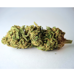 Tropicake - Fleur CBD