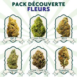 Pack Découverte - Fleurs