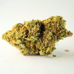 Lemon - FUZ+