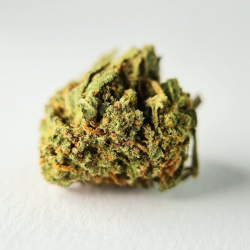 Lemon Small - Fleurs CBD