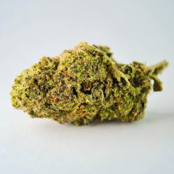 M16 - Fleur CBD