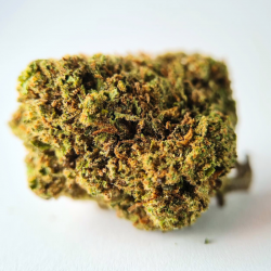 Critical - FUZ