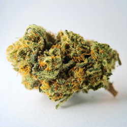 Special One - Fleur CBD