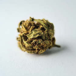 BubbleGum - Fleurs CBD