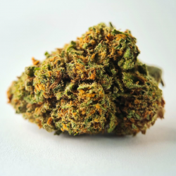 Blueberry - FUZ