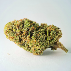 Gelato 33 - Fleur CBD