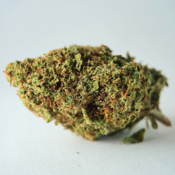 Grapefruit - FUZ