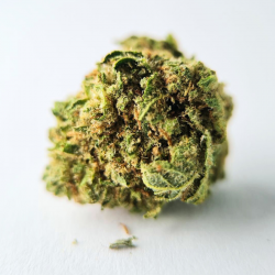 Small Gelato US - Fleur CBD