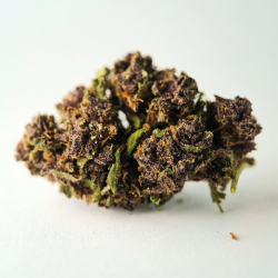 Vanilla - Fleurs CBD
