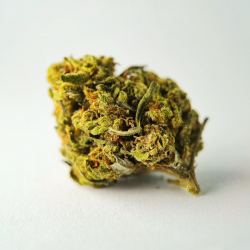 Peach - Fleurs CBD