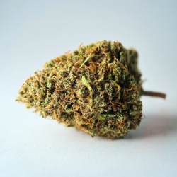 Sunset Sherbet - Fleur CBD