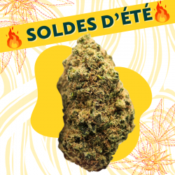 Super Silver Haze - Fleur CBD
