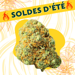 Red Cherry - Fleur CBD