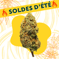 Larry OG - Fleur CBD