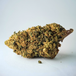 Jack  Herer - FUZ