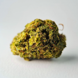 Lemon Cookie - FUZ