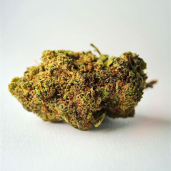 Blueberry - FUZ