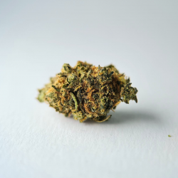 Cherry Pie - FUZ
