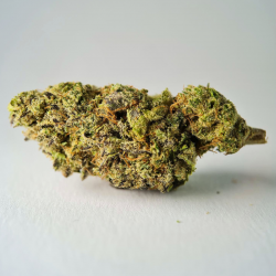 Uranium - Fleur CBD