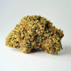 Critical - Fleur CBD