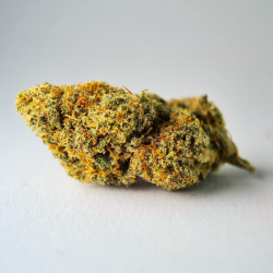 Lemon Kush - Fleur CBD