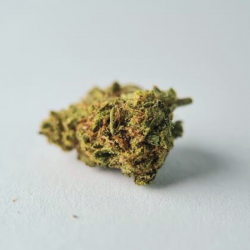 Zombie Kush - Fleurs CBD