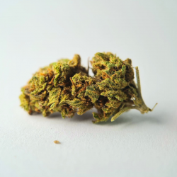 Strawberry - Fleurs CBD