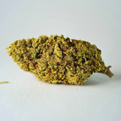 Critical Cheese - Fleur CBD