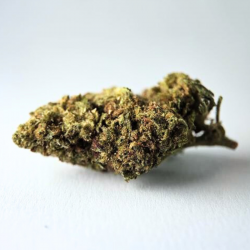 Hashplant - FUZ