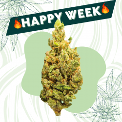 Ghost - Fleur CBD