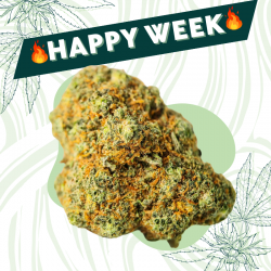 Red Cherry - Fleur CBD