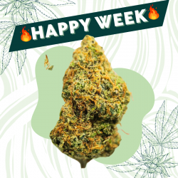 Small Exotic Kush - Fleur CBD