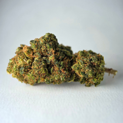 Plutonium - FUZ