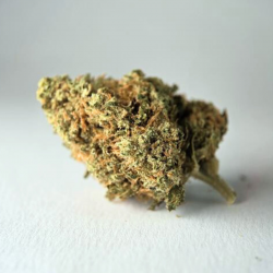 Cali Haze - Fleur CBD