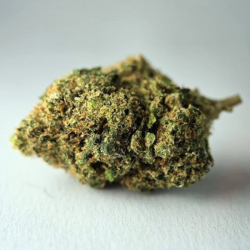 Plush Berry - Fleur CBD