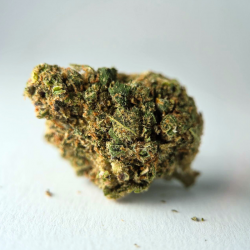 Rainbow GP3 - Fleur CBD