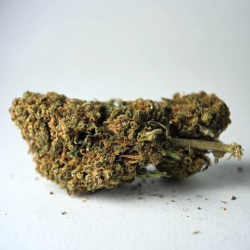 Pink Panther - Fleurs CBD