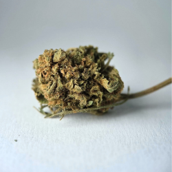 Blue Dream - Fleurs CBD