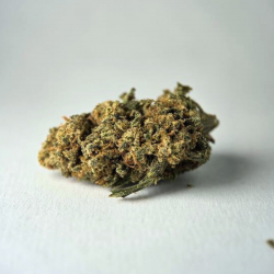 Skittles - Fleurs CBD