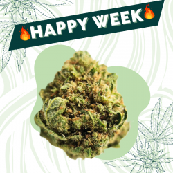 Small Gelato US - Fleur CBD