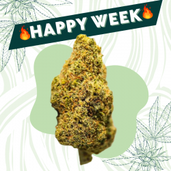 Watermelon - Fleur CBD