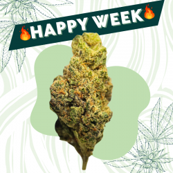 Kryptonite - Fleur CBD