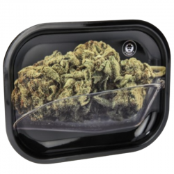 Plateau Bud - Taille S